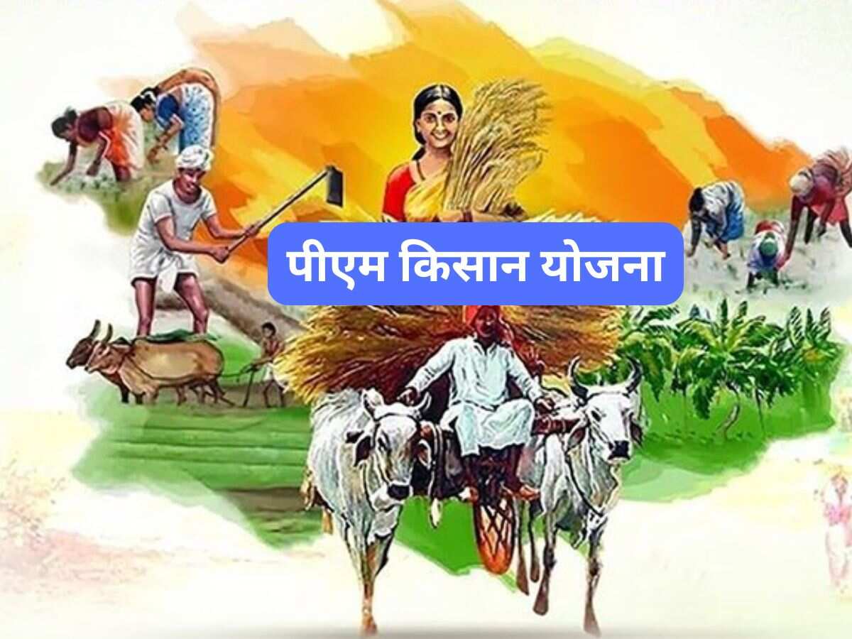 सालाना ₹6000 की आर्थिक सहायता सालाना ₹6000 की आर्थिक सहायता