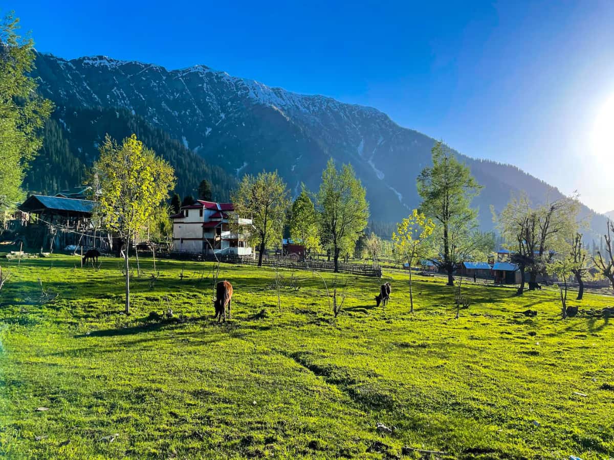 कहां जाएं घूमने कहां जाएं घूमने