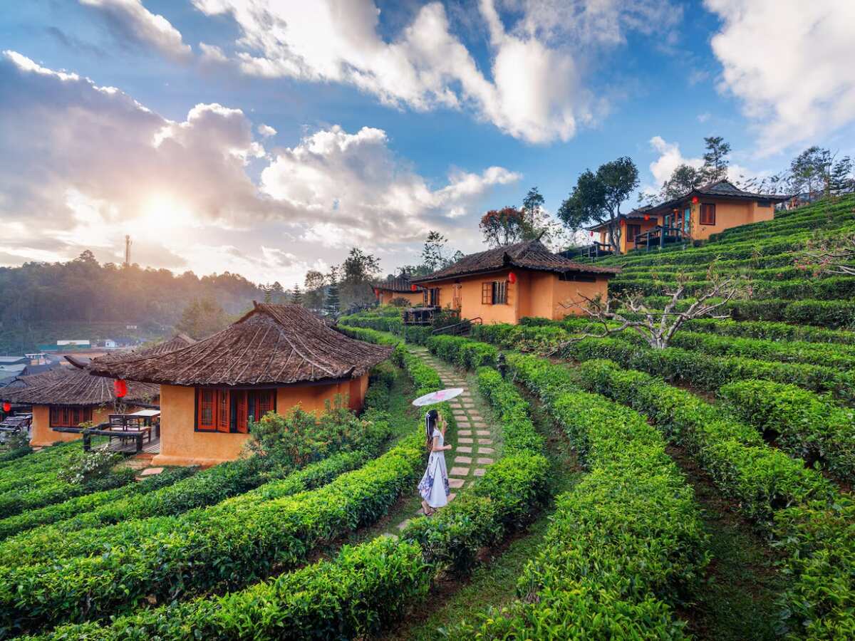 दार्जिलिंग दार्जिलिंग