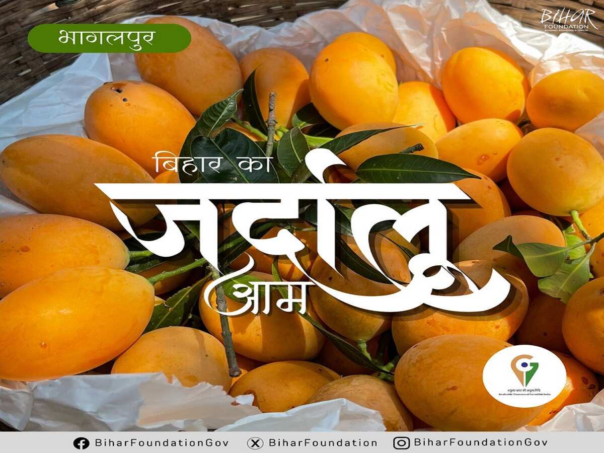 जर्दालू आम जर्दालू आम