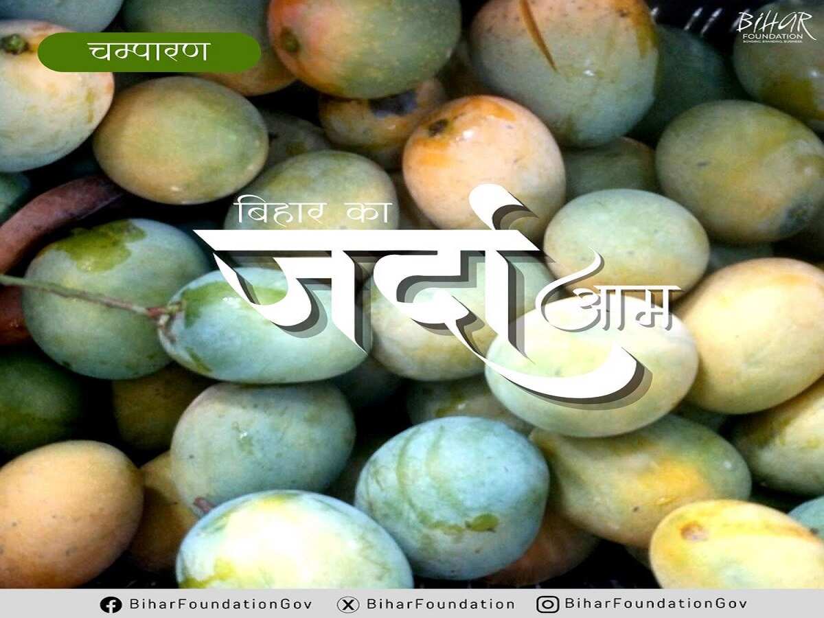 जर्दा आम जर्दा आम