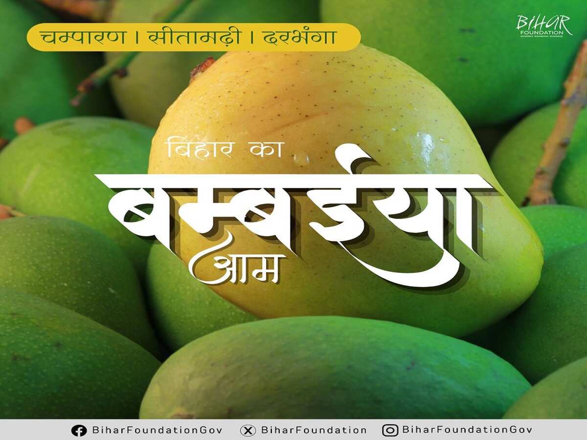 बंबइया आम बंबइया आम