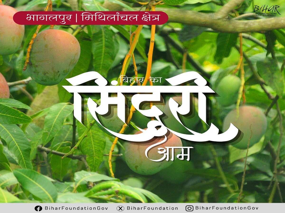 सिंदूरिया आम सिंदूरिया आम