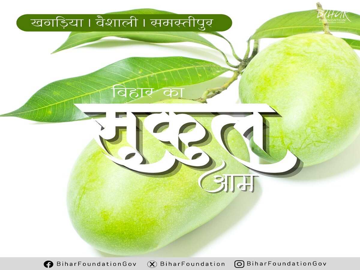 सुकुल आम सुकुल आम