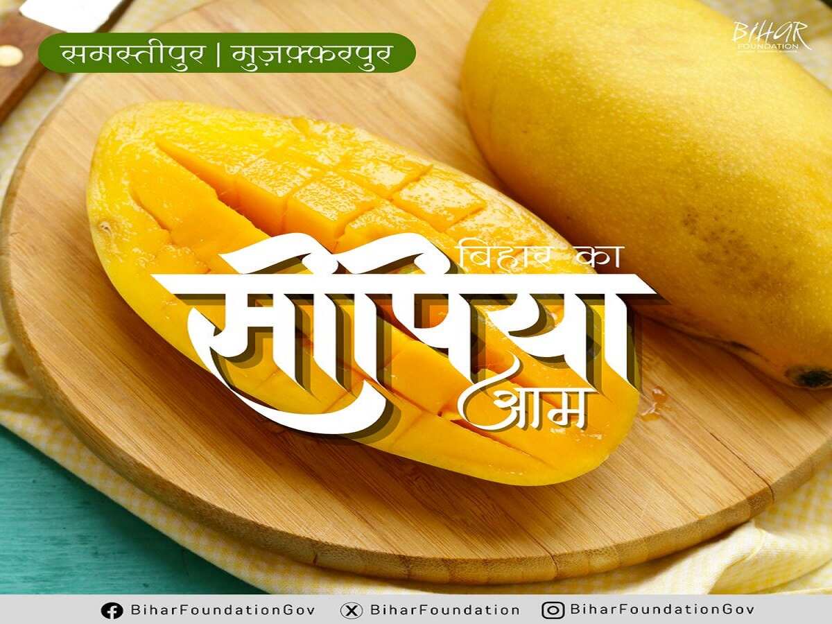 सीपिया आम सीपिया आम