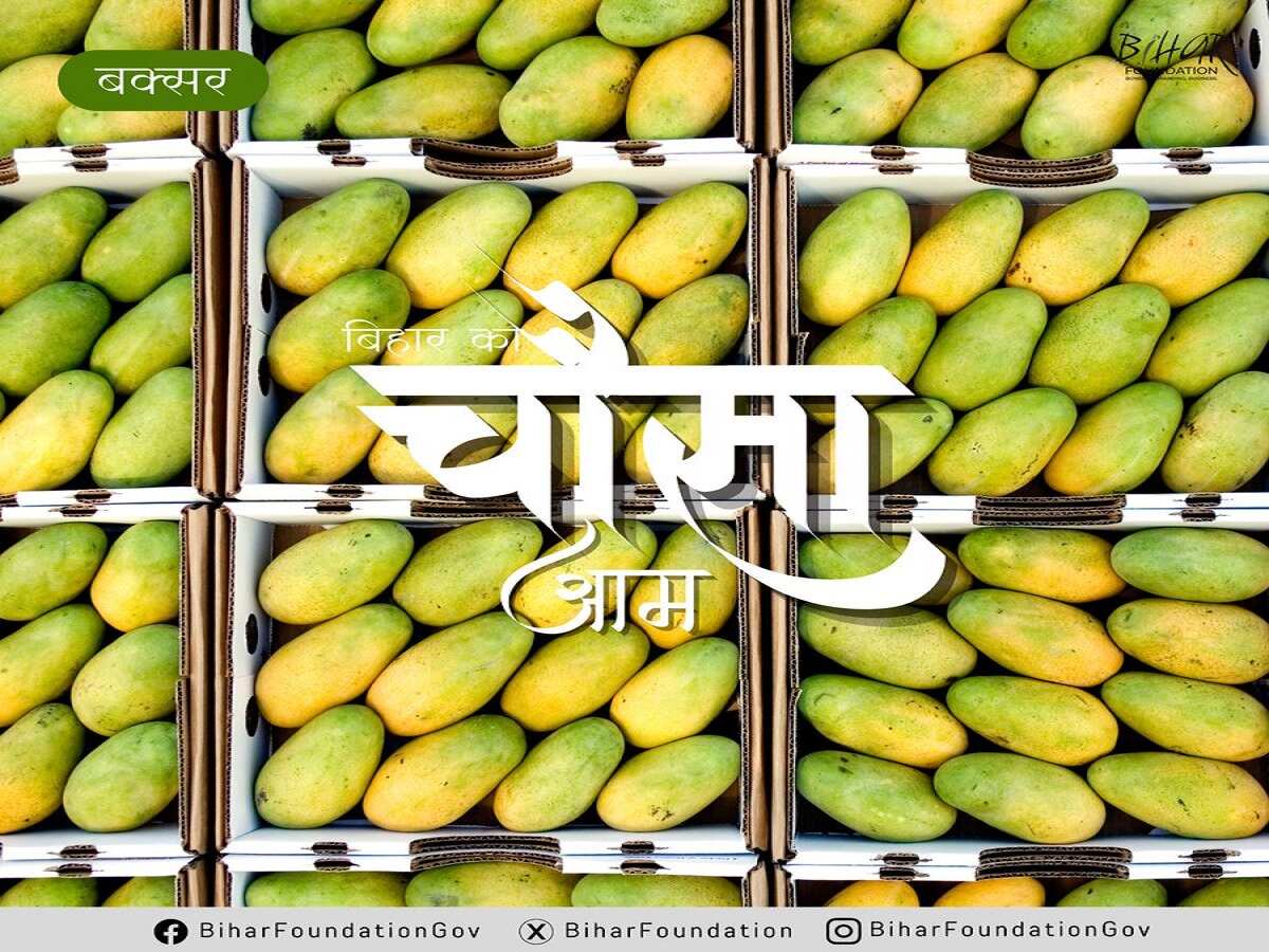 चौसा आम चौसा आम
