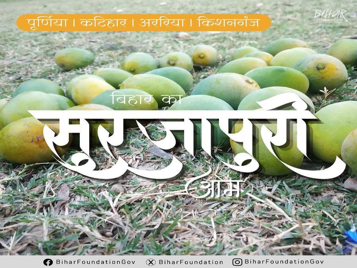 सुरजापुरी आम सुरजापुरी आम