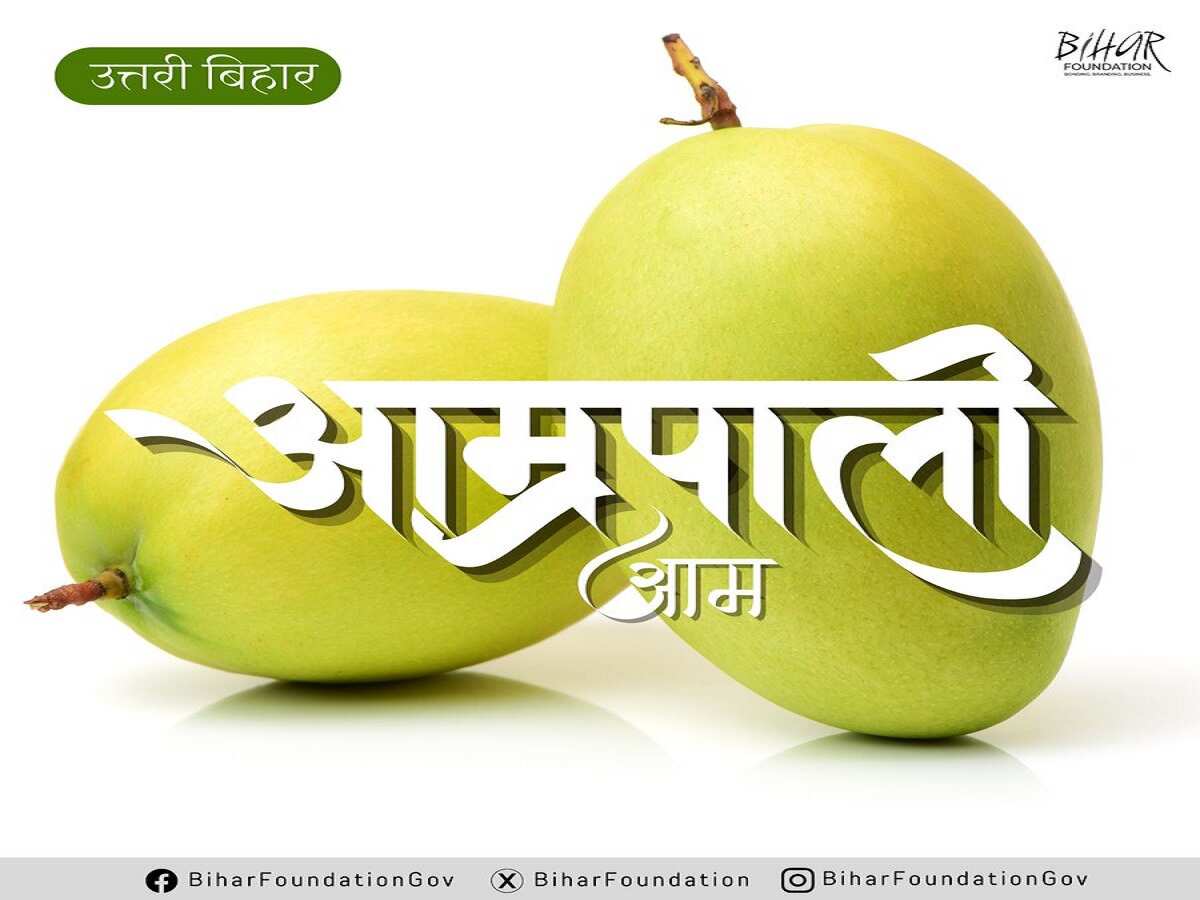 आम्रपाली आम आम्रपाली आम