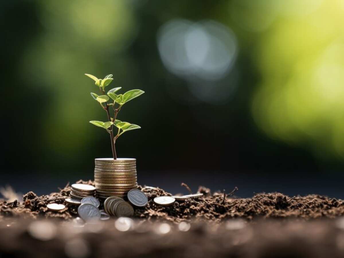 5% मतलब SIP में हर साल 5% पैसा बढ़ाएं 5% मतलब SIP में हर साल 5% पैसा बढ़ाएं