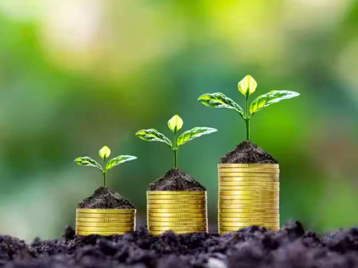 PPF किसे चुनना चाहिए? PPF किसे चुनना चाहिए?