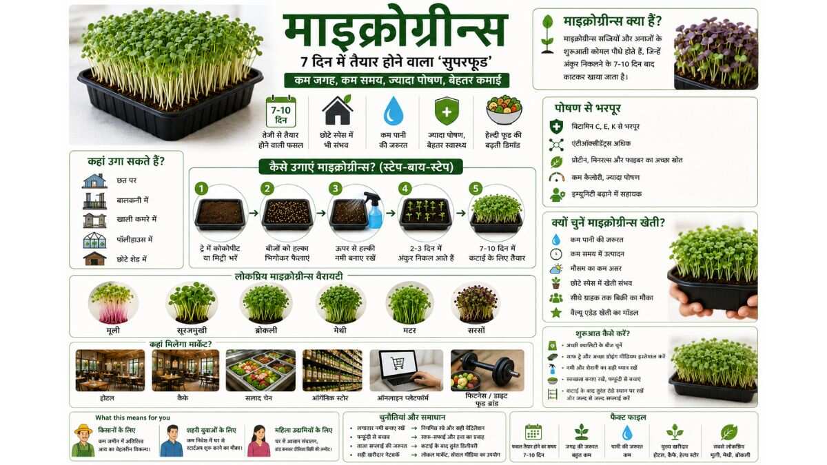 Microgreens