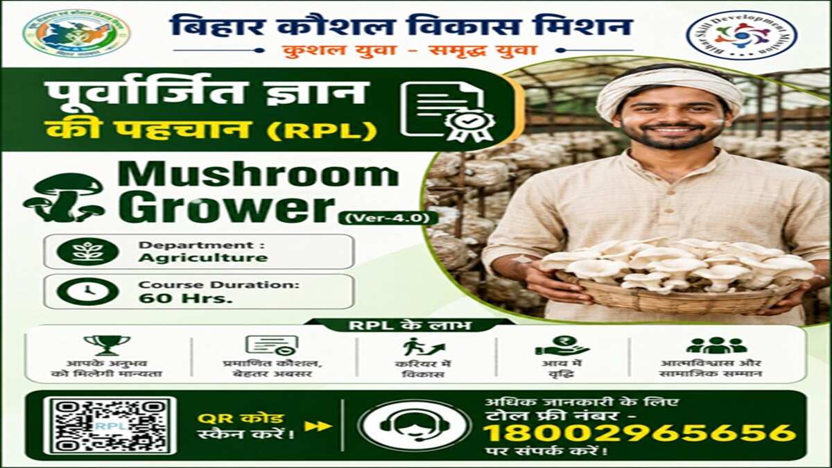mushroom farming