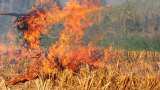 पराली से अब नहीं होगा प्रदूषण, बल्कि दौड़ेंगी कार और बनेगी खाद Karnal plant to convert paddy straw into bioga