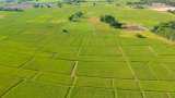 खेती करने के लिए मिलेगा लोन, SBI दे रहा है खेती को बढ़ावा SBI's Land Purchase Scheme, Agricultural land Loan