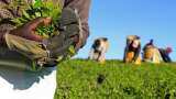 छोटे खेत वालों को भी मिलेगा लोन, इस प्राइवेट बैंक ने किया करार Axis Bank to provide affordable loans to farmers