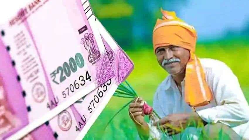 PM Kisan: किसानों के लिए खुशखबरी, जल्द खाते में आएंगे 2000 रुपये, ऐसे चेक  कर सकते हैं स्टेटस | Zee Business Hindi
