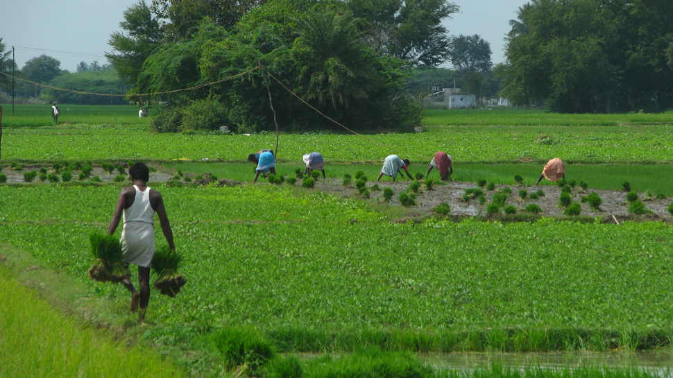 बजट 2019: किसानों के लिए है हो सकता है कुछ खास, वोट ऑन अकाउंट नहीं होगा बजट