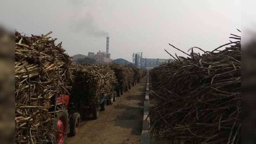 चीनी मिलों पर 19,000 करोड़ बकाया, बजट से जागी गन्ना किसानों को राहत की उम्मीद
