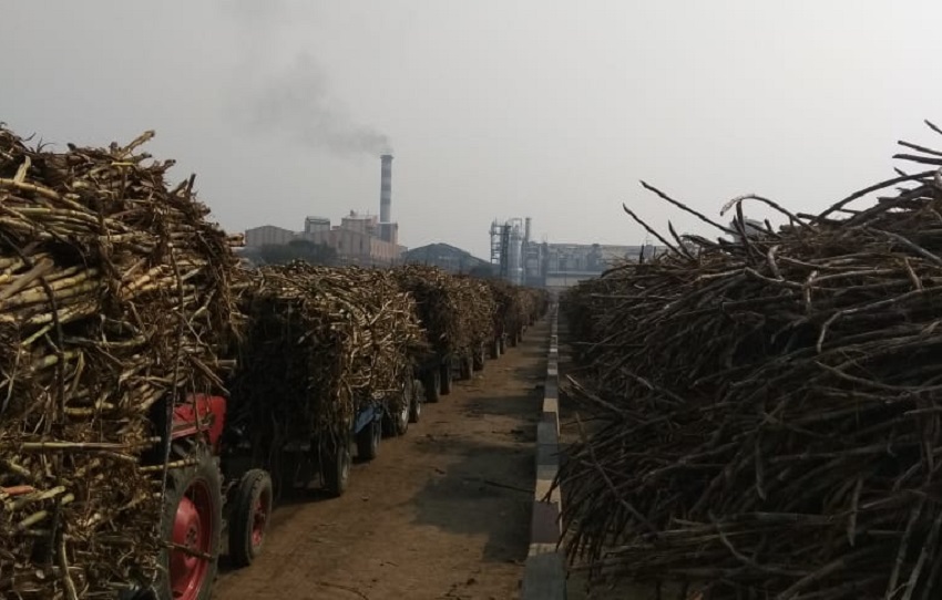 चीनी मिलों पर 19,000 करोड़ बकाया, बजट से जागी गन्ना किसानों को राहत की उम्मीद
