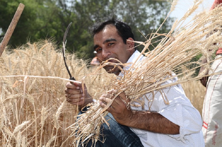 बजट 2019 : किसानों के कर्ज में सरकार कर सकती है 10 फीसदी का इजाफा