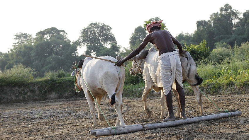 करोड़ों किसानों के लिए खुशखबरी, 20 दिन बाद बैंक खातों में आएंगे 2000 रुपये