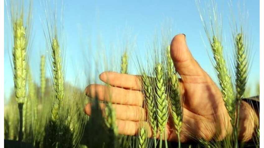 फसल बीमा दावों की जानकारी अब स्थानीय भाषा में भी, इरडा ने कंपनियों को जारी किया फरमान