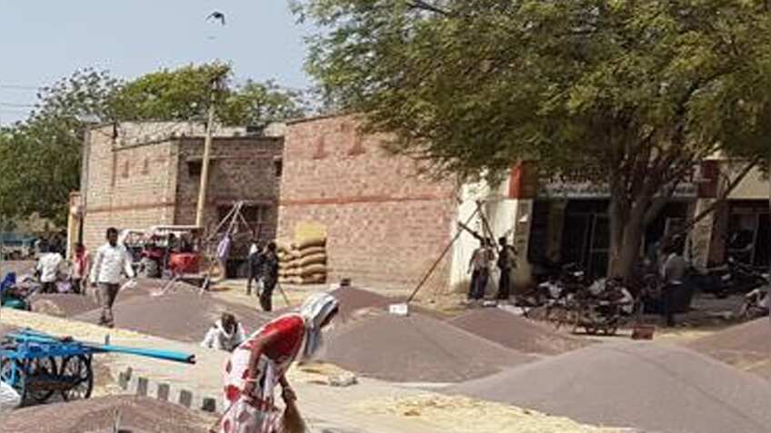 किसानों को मिलेगी राहत, खरीद की मात्रा 25 से 40 क्विंटल करने के प्रयास जारी