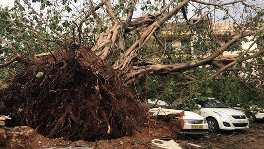 तूफान में तबाह हुई आपकी कार की मरम्मत की सुविधा देगी यह ऑटो कंपनी, बनाई टास्क फोर्स