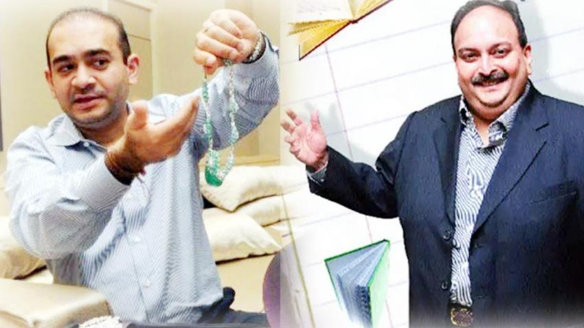 PNB लोन स्कैम : मेहुल चोकसी को भारत वापस लाएगा ED, तैयारी शुरू