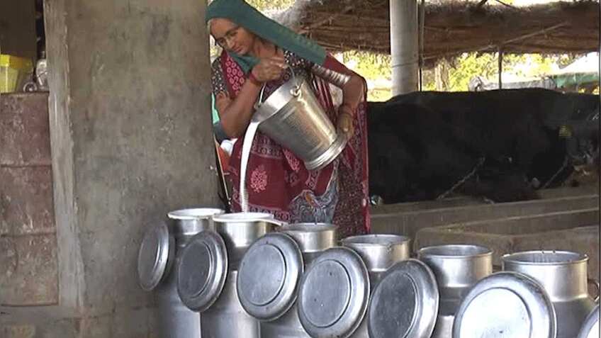 गांव की महिला का कमाल, पशुपालन के काम से ही कमाए सालाना 80 लाख रुपए
