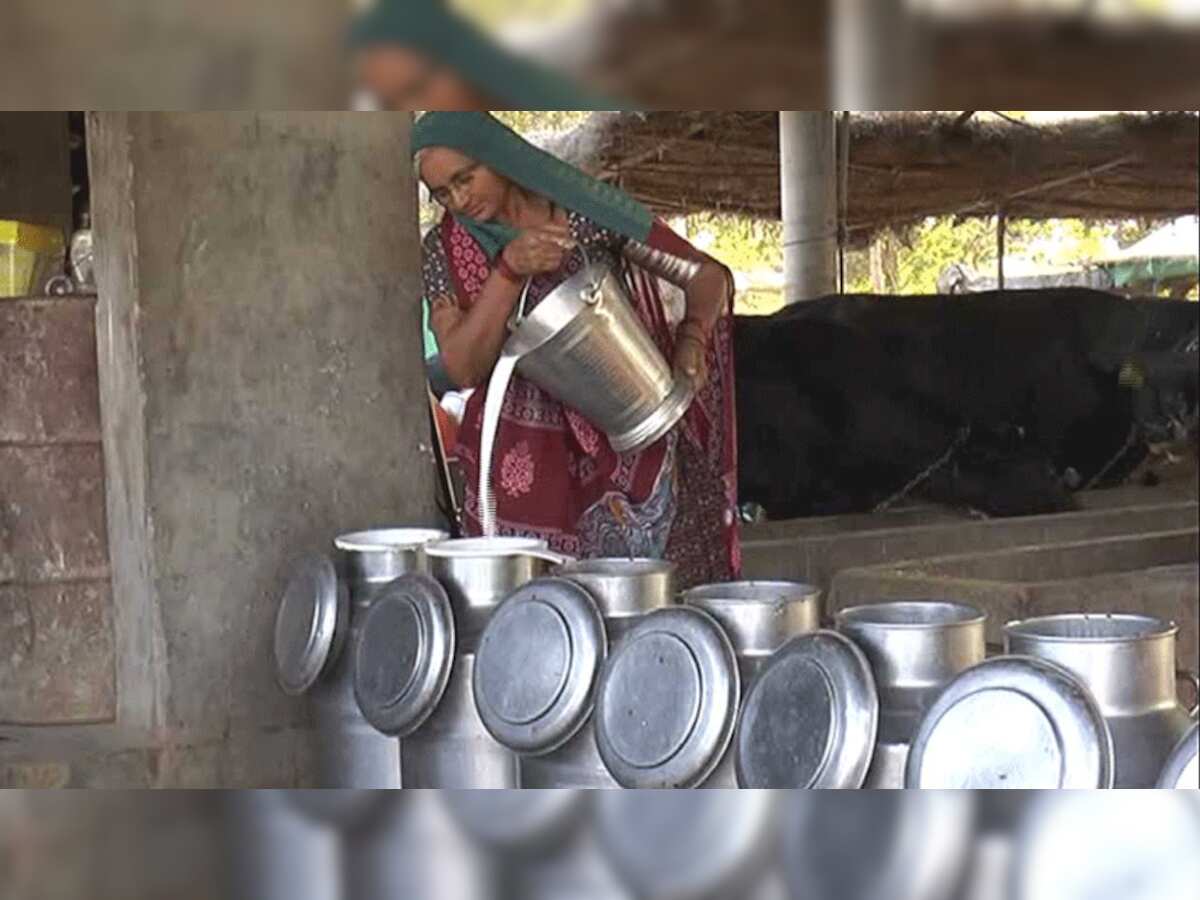 गांव की महिला का कमाल, पशुपालन के काम से ही कमाए सालाना 80 लाख रुपए