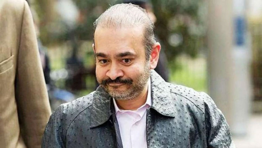 नीरव मोदी को डीआरटी ने दिया झटका, कहा-पीएनबी और अन्य को 7200 करोड़ रुपये चुकाएं