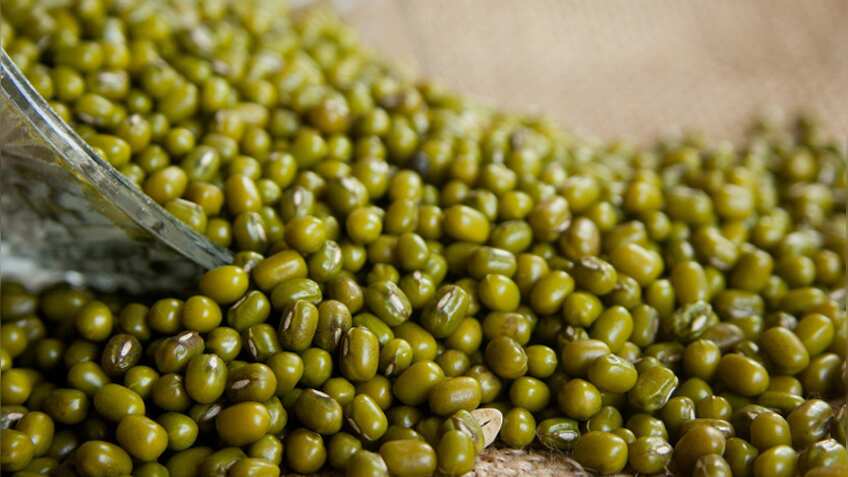 कमोडिटी बाजार : NCDEX पर शुरू हुआ मूंग में वायदा कारोबार, बासमती का भी होगा सौदा