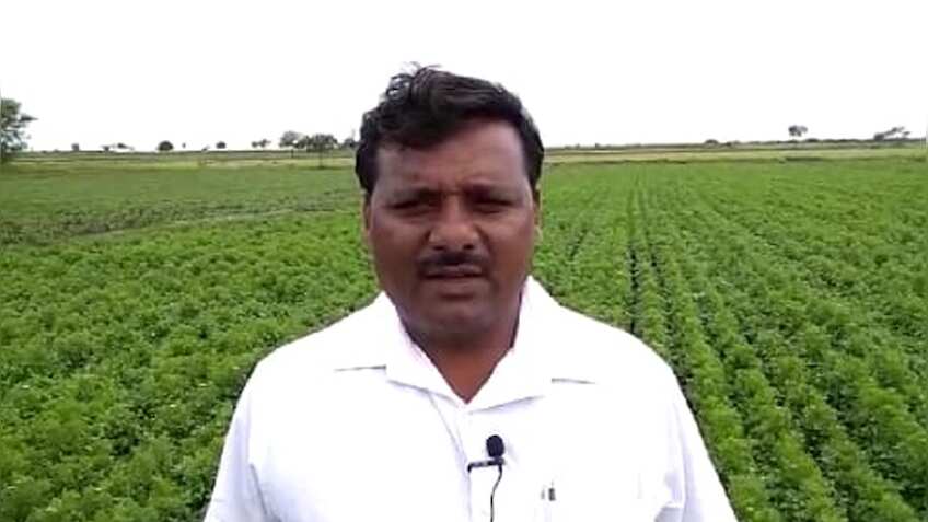 किसान ने पेश की मिसाल, कम पानी में एक ही फसल से की 5 लाख की कमाई