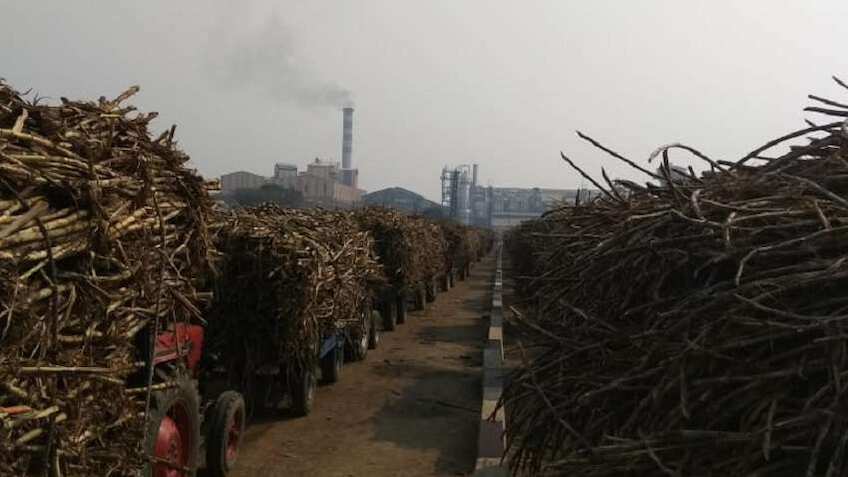 शुगर मिलों के बकाया भुगतान में भारी कमी, ज्यादातर किसानों को हुआ पेमेंट