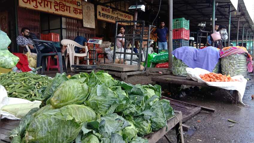 इन किसानों को मिल रहा अपनी फसल का सही दाम, मोदी सरकार ने की मदद