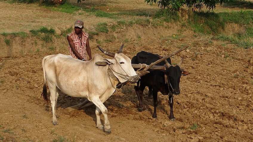 छोटे किसानों का बड़ा फायदा- बाजार में आएगा बैटरी से चलने वाला ट्रैक्टर, लागत होगी सिर्फ 1 लाख रुपये