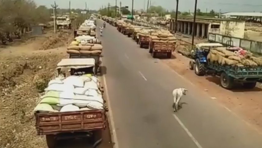 नकद निकासी पर TDS के खिलाफ आढ़ती हड़ताल पर, कारोबार ठप