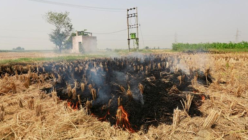 पॉल्यूशन के खिलाफ बड़ा कदम, पराली जलाने वाले किसान को नहीं मिलेगी पंचायती जमीन