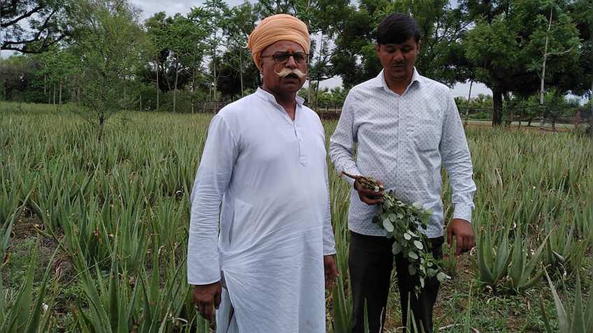 औषधीय खेती से बदलेगी हिमाचल के किसानों की तस्वीर, ‛विनायक हर्बल’ करेगी 100 करोड़ का निवेश