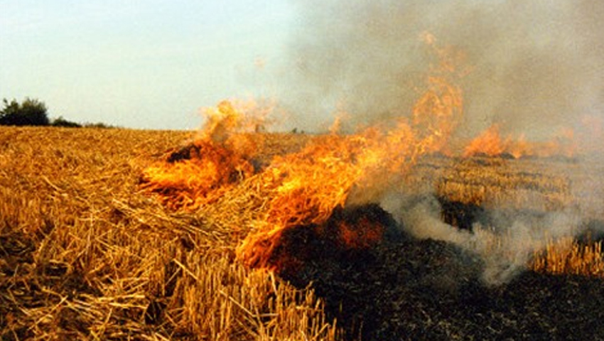 पराली जलाने वाले किसानों को नहीं मिलेगा योजनाओं का फायदा, सरकार का कड़ा फैसला