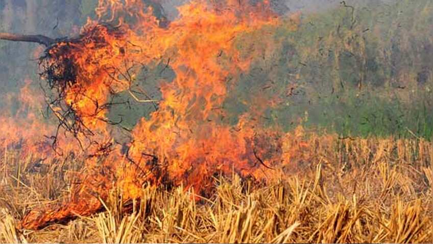 पराली से अब नहीं होगा प्रदूषण, बल्कि दौड़ेंगी कार और बनेगी खाद