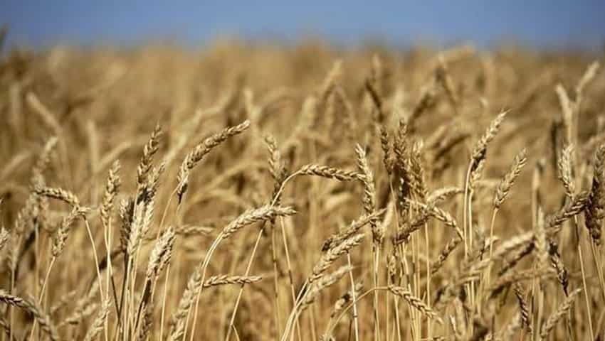 रबी फसलों के MSP में इजाफा