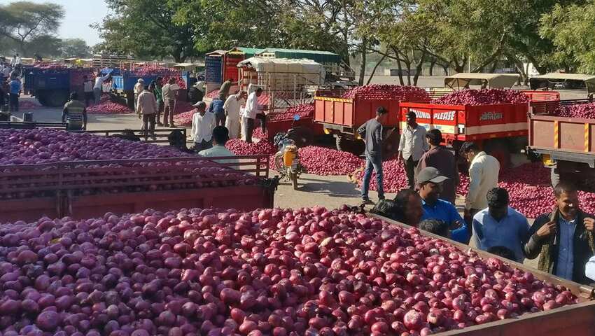 प्याज के इंपोर्ट सीमा बढ़ाई और नियमों में दी छूट, भारत पहुंचेंगे 100 कंटेनर