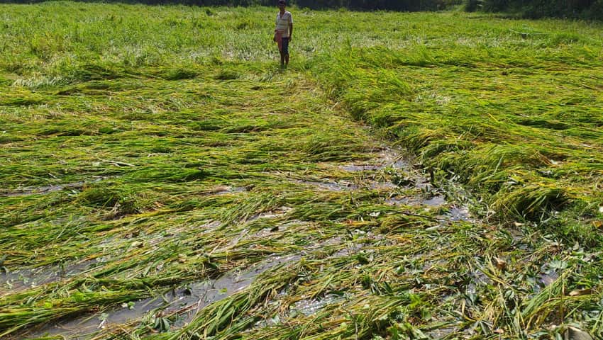 ‘बुलबुल’ से पश्चिम बंगाल भारी तबाही, अब तक 50,000 करोड़ रुपये का नुकसान