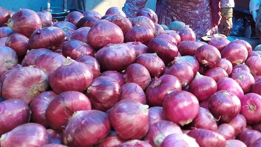 मंडी में प्याज के दामों आई नरमी, जल्द ही लोगों को आधी कीमत पर मिलेगा Onion