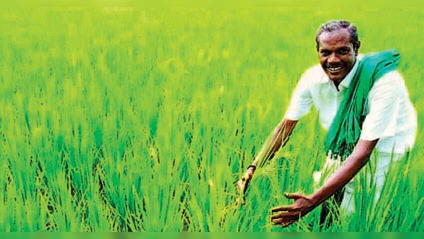 Budget 2020: ऑर्गेनिक खेती को बढ़ावा दिया जाएगा, किसानों को बजट में मिले 3 लाख करोड़