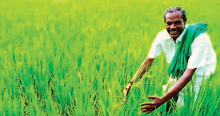 Budget 2020: ऑर्गेनिक खेती को बढ़ावा दिया जाएगा, किसानों को बजट में मिले 3 लाख करोड़