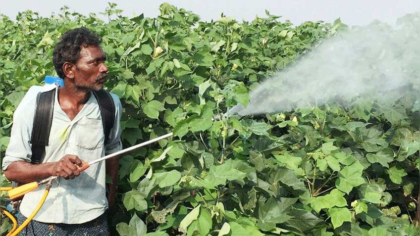 बजट 200: किसानों की बल्ले-बल्ले, बंजर जमीन से भी होगी इनकम, बदलेगी तस्वीर