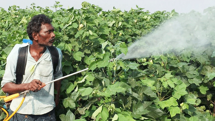 बजट 200: किसानों की बल्ले-बल्ले, बंजर जमीन से भी होगी इनकम, बदलेगी तस्वीर